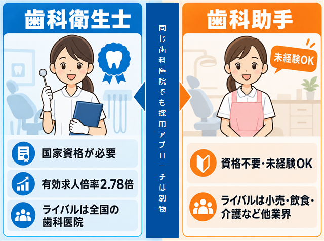 歯科衛生士と歯科助手の採用構造の違い（資格の有無と競合相手）を示した比較図解