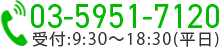 03-5951-7120